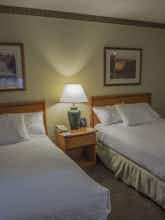 Hotel Embassy Suites by Hilton Portland Airport photo 3