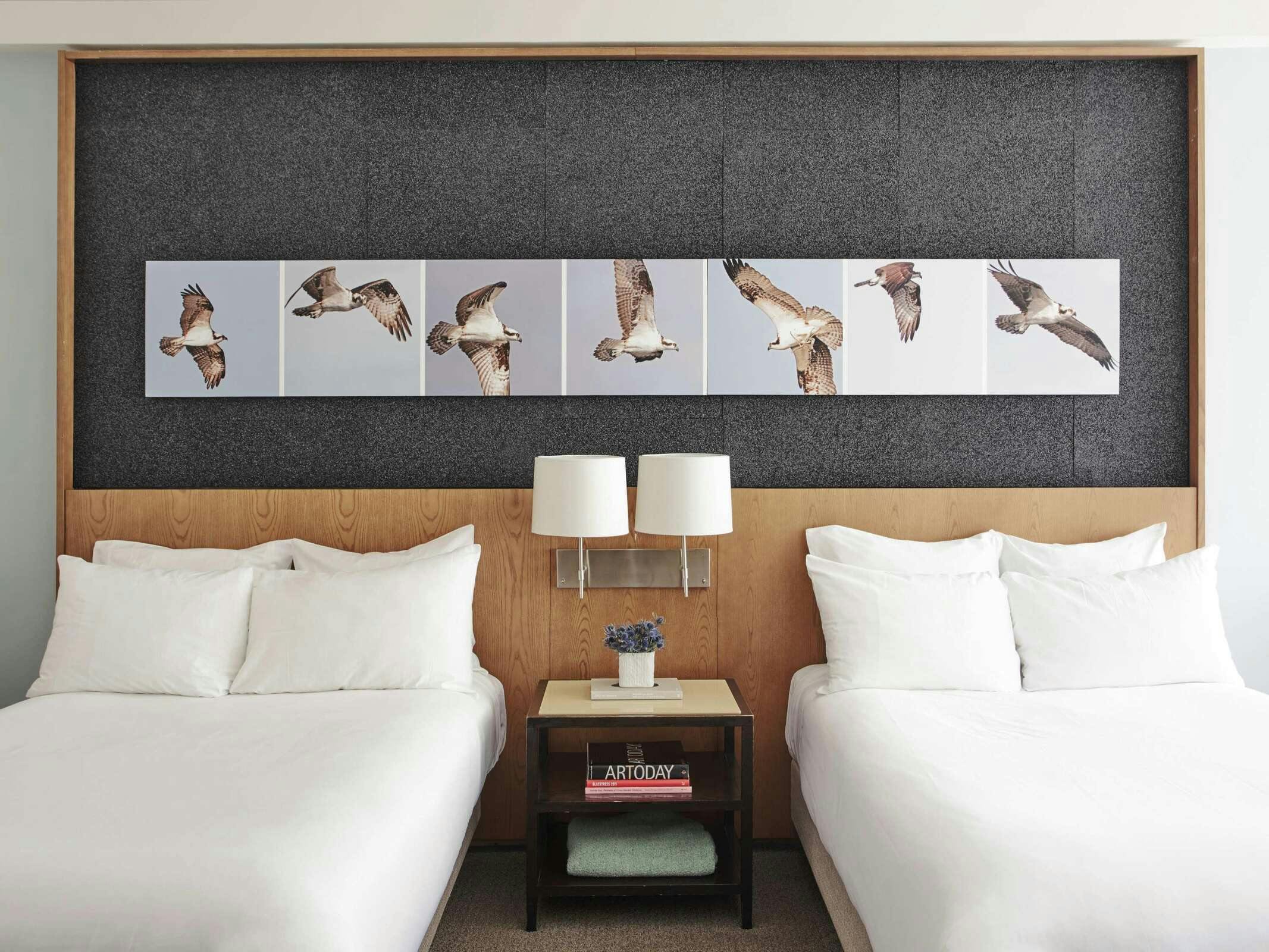 Hotel 21c Museum Hotel Louisville photo 3