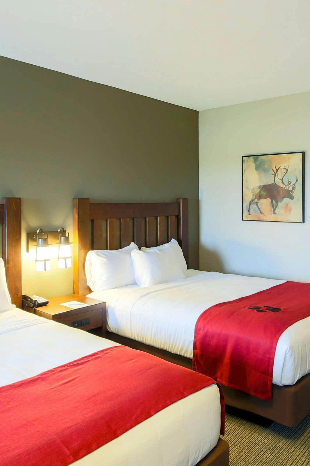 Great Wolf Lodge Illinois Gurnee Hoteltonight