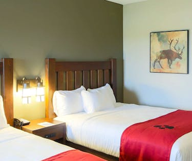 Great Wolf Lodge Illinois Gurnee Hoteltonight