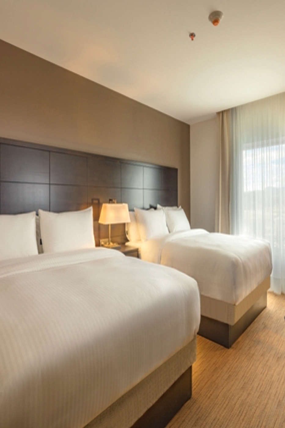 Hotel Staybridge Suites Irapuato photo 1