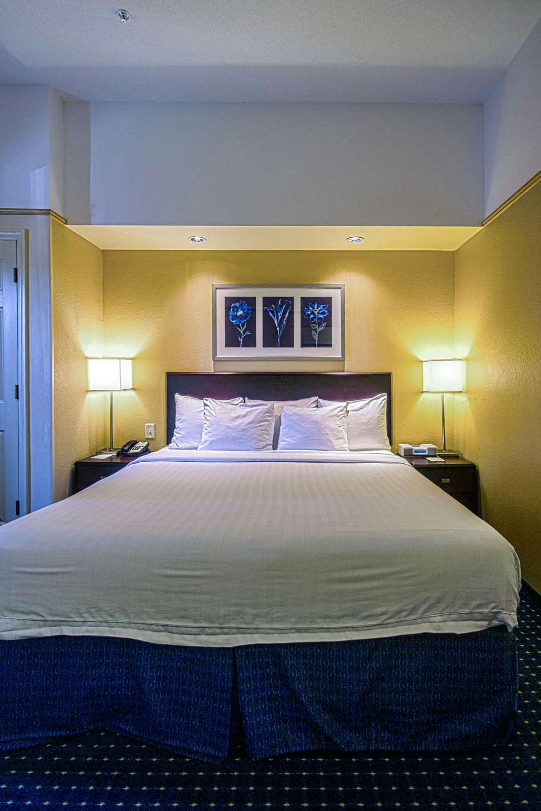 Hotel SpringHill Suites St. Petersburg Clearwater photo 3