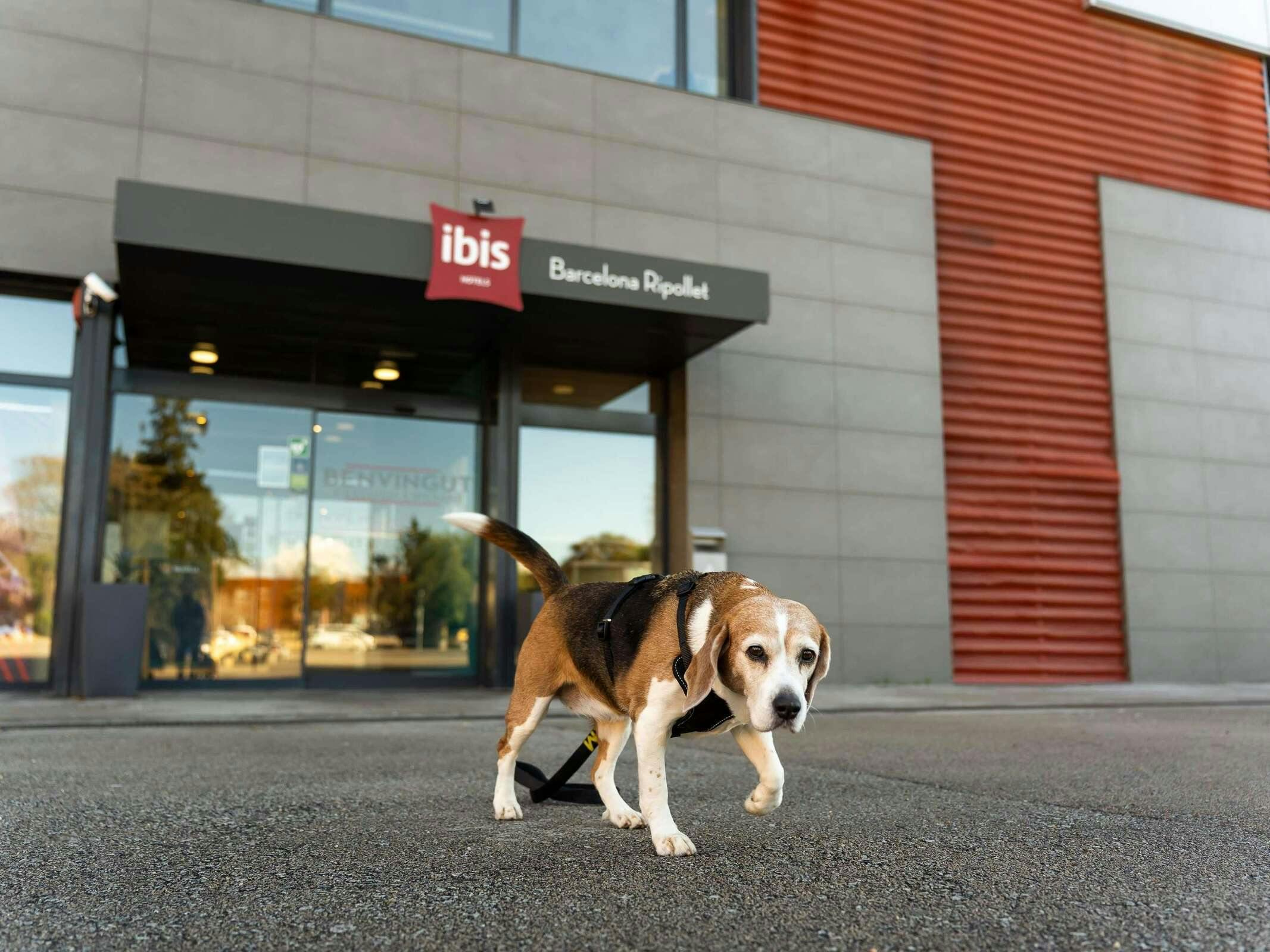 Hotel Ibis Barcelona Ripollet photo 3