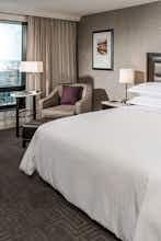 Hotel Hilton Tampa Downtown photo 3