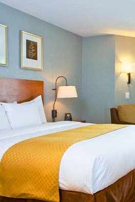 Hotel DoubleTree by Hilton Atlanta - Alpharetta photo 3