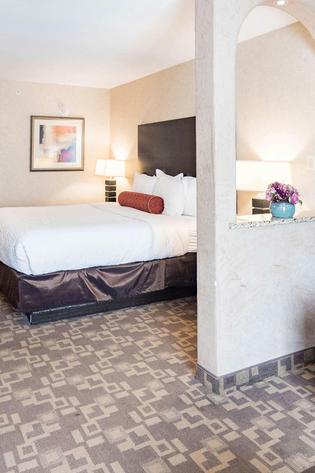 Hotel Clarion Inn Elmhurst - Oakbrook photo 3