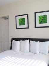 Hotel Beach Gardens photo 3