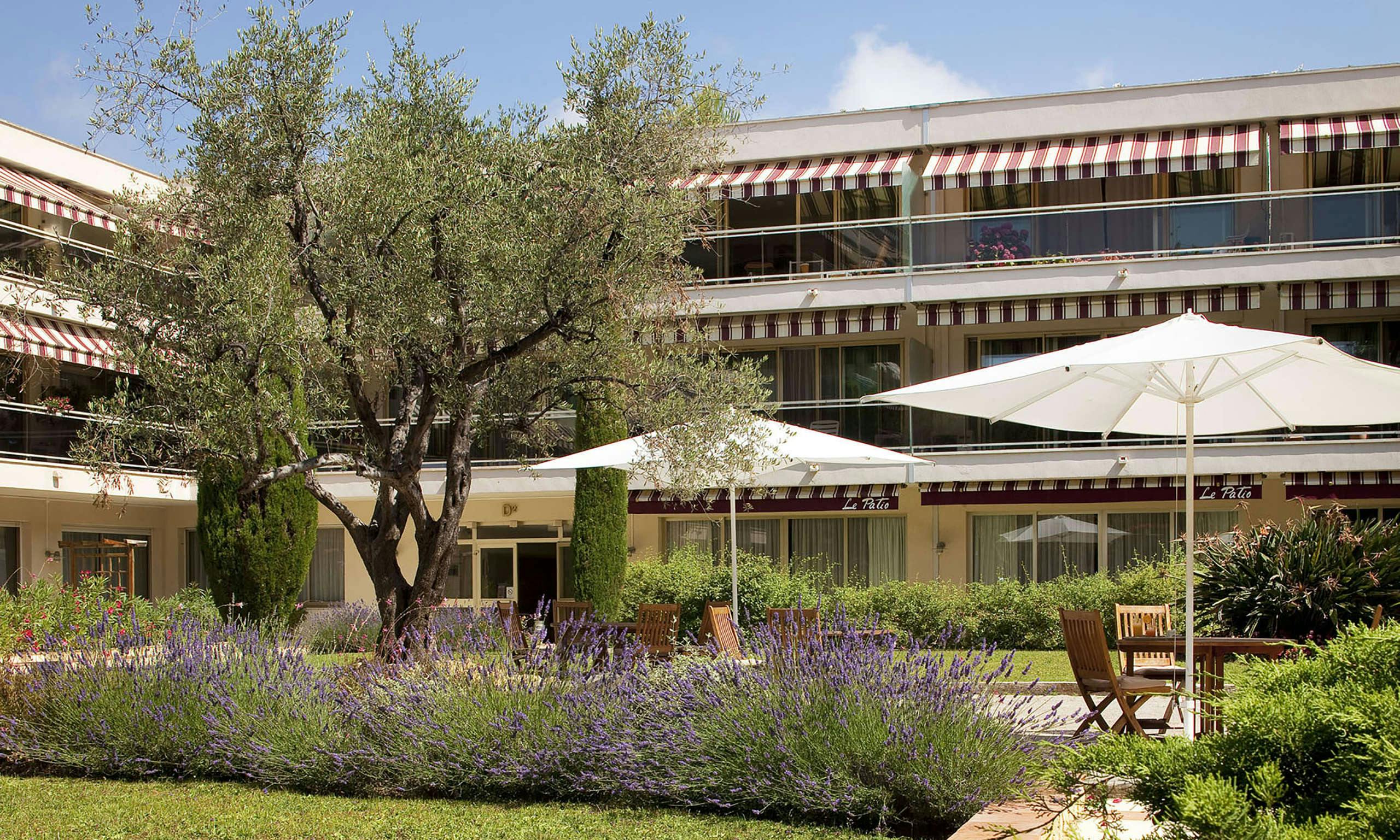 Hotel The Originals Boutique,Hotel Les Strelitzias, Antibes Ouest photo 2