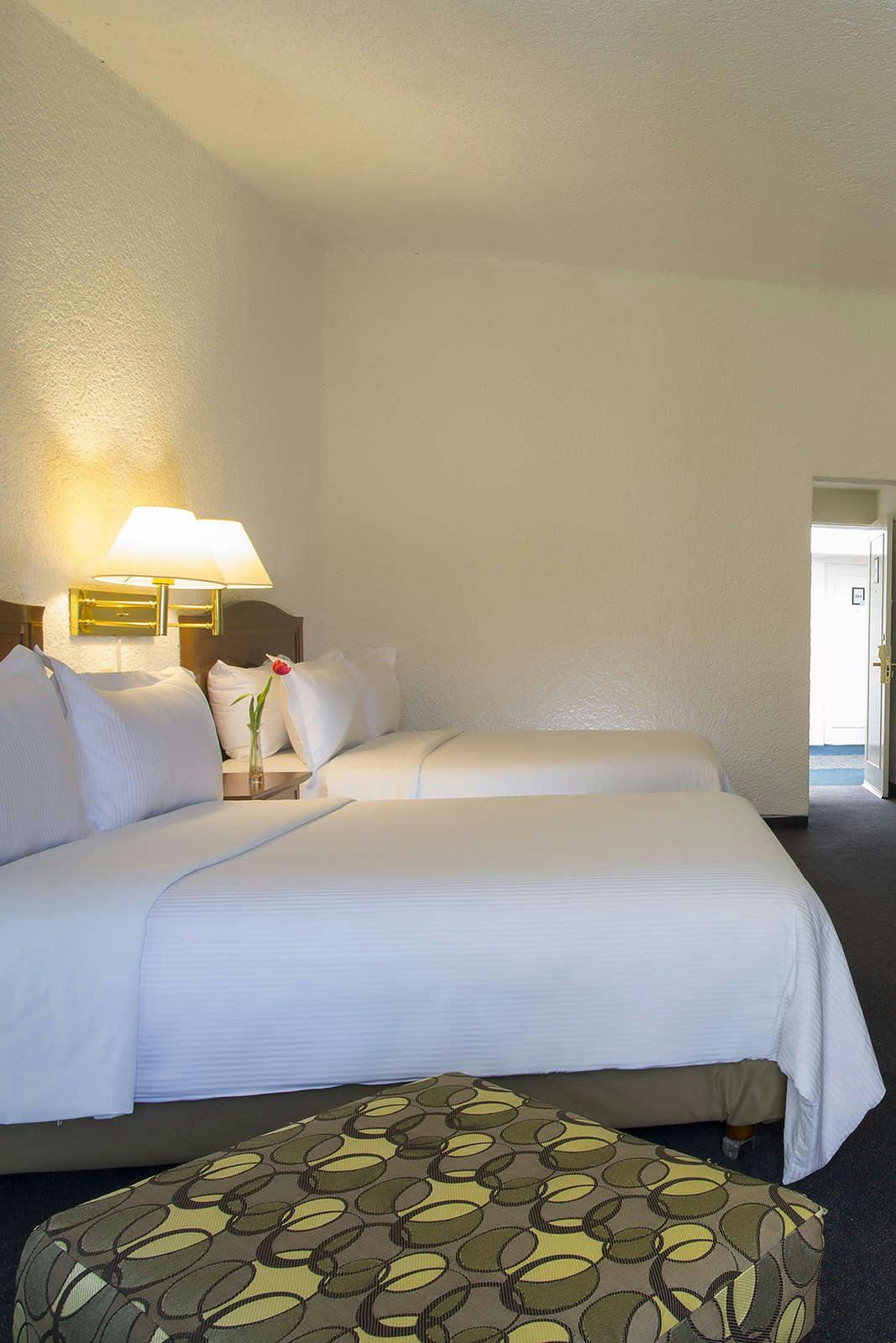 Hotel Gamma Pachuca photo 4