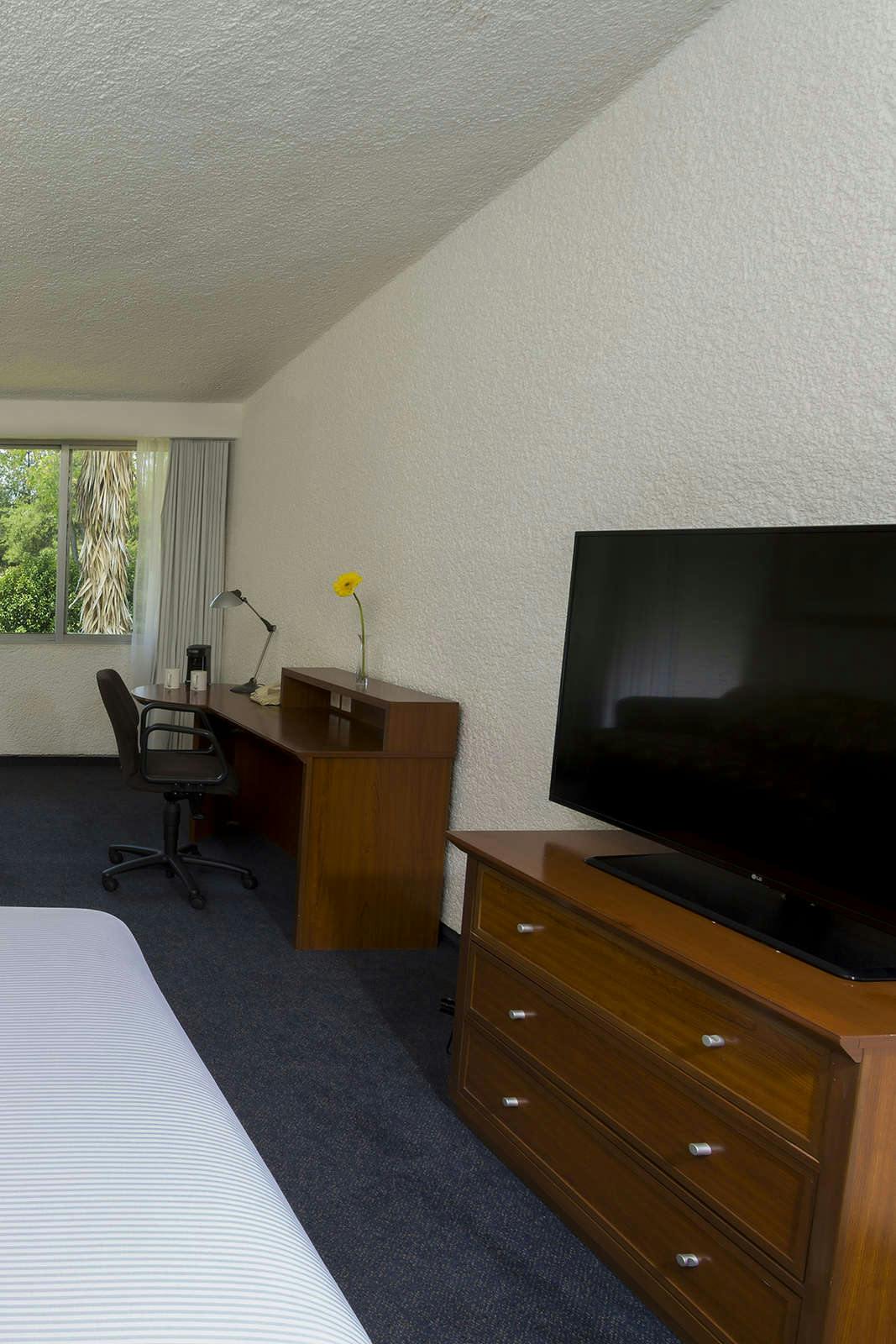 Hotel Gamma Pachuca photo 3