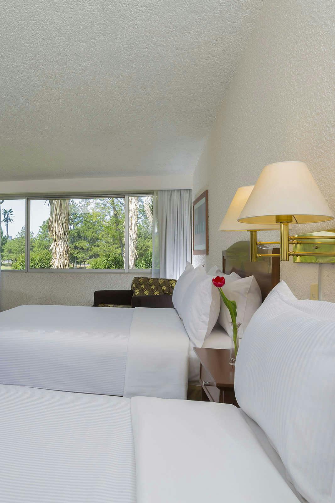 Hotel Gamma Pachuca photo 5