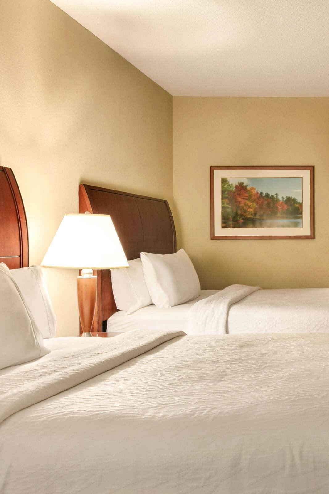 Hotel Hilton Garden Inn Fort Myers Airport/FGCU photo 2