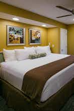 Hotel Holiday Inn Club Vacations Orlando Breeze Resort photo 3