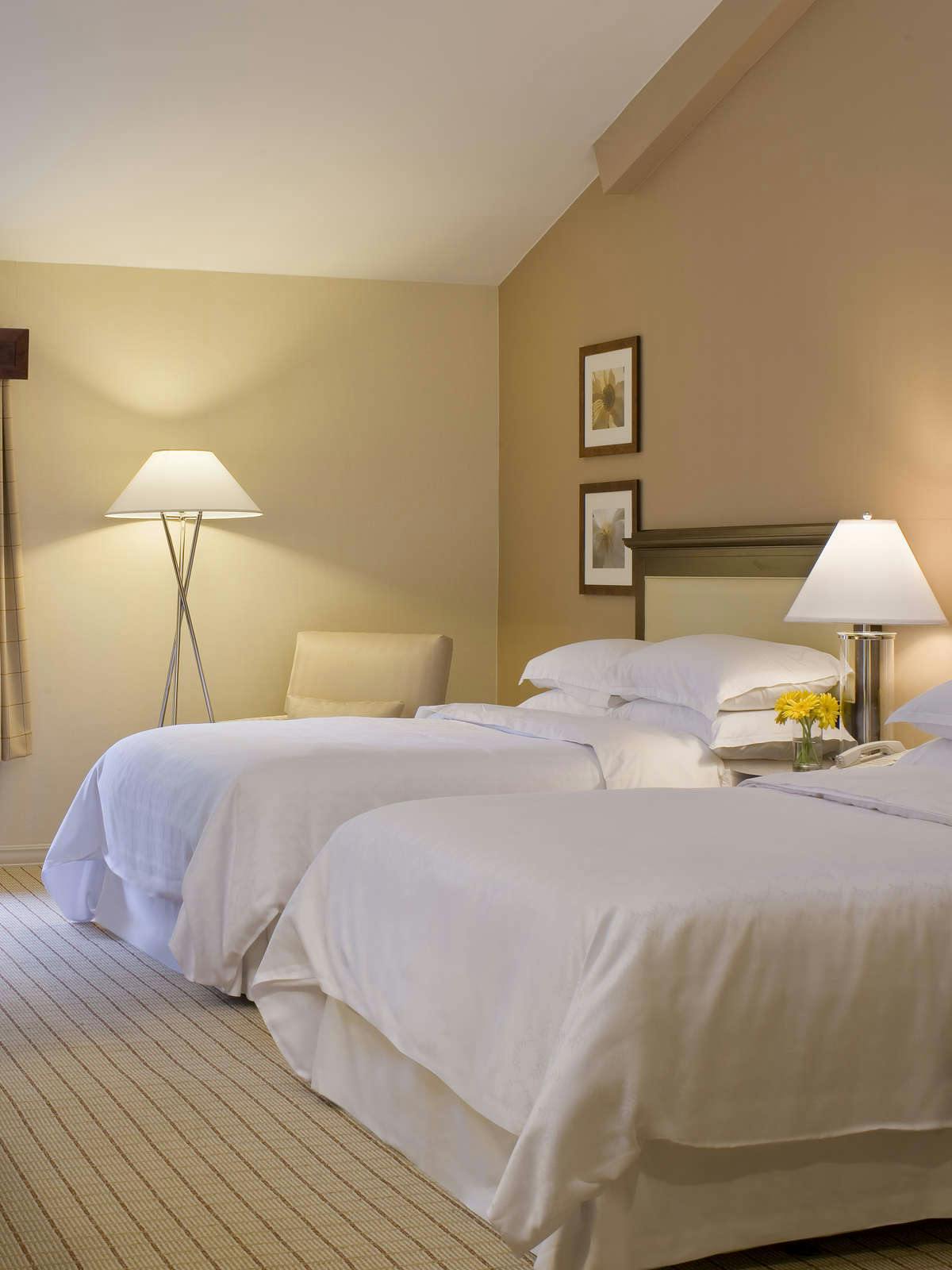 Hotel Sheraton Columbia Town Center Hotel photo 2