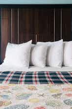 Hotel Dolphin Cove Motel photo 4