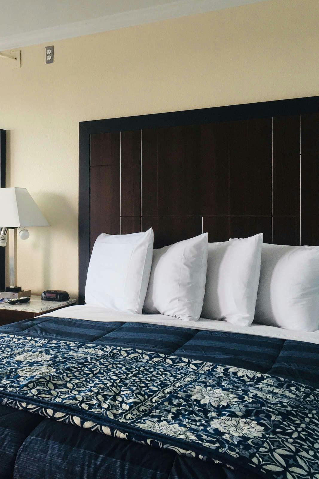 Hotel Dolphin Cove Motel photo 1