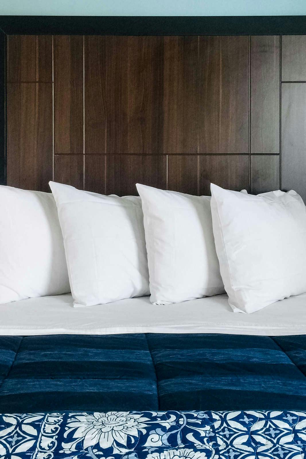 Hotel Dolphin Cove Motel photo 5