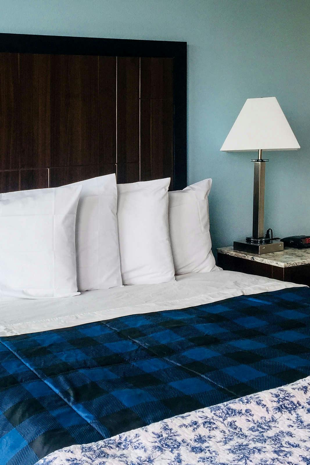 Hotel Dolphin Cove Motel photo 3