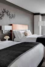 Hotel Loews Chicago Hotel photo 3