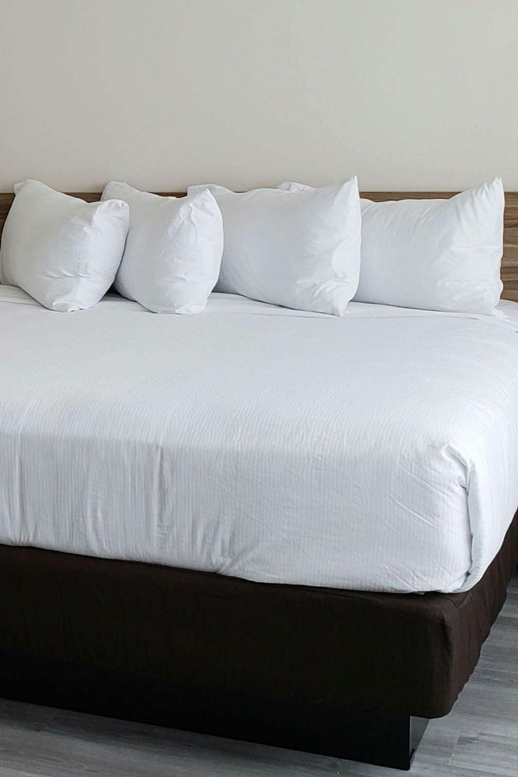 Hotel Wyndham Garden Ft Lauderdale Airport & Cruise Port photo 1