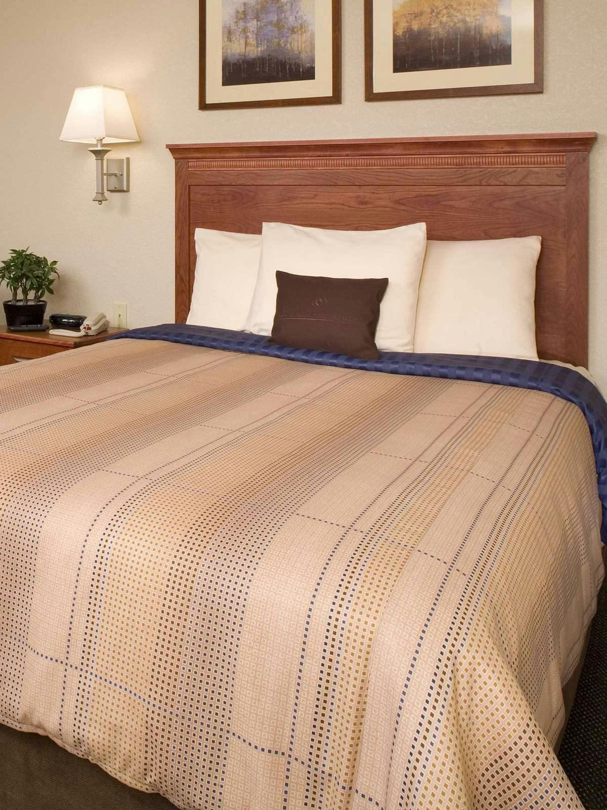 Hotel Candlewood Suites Houston Medical Center photo 1