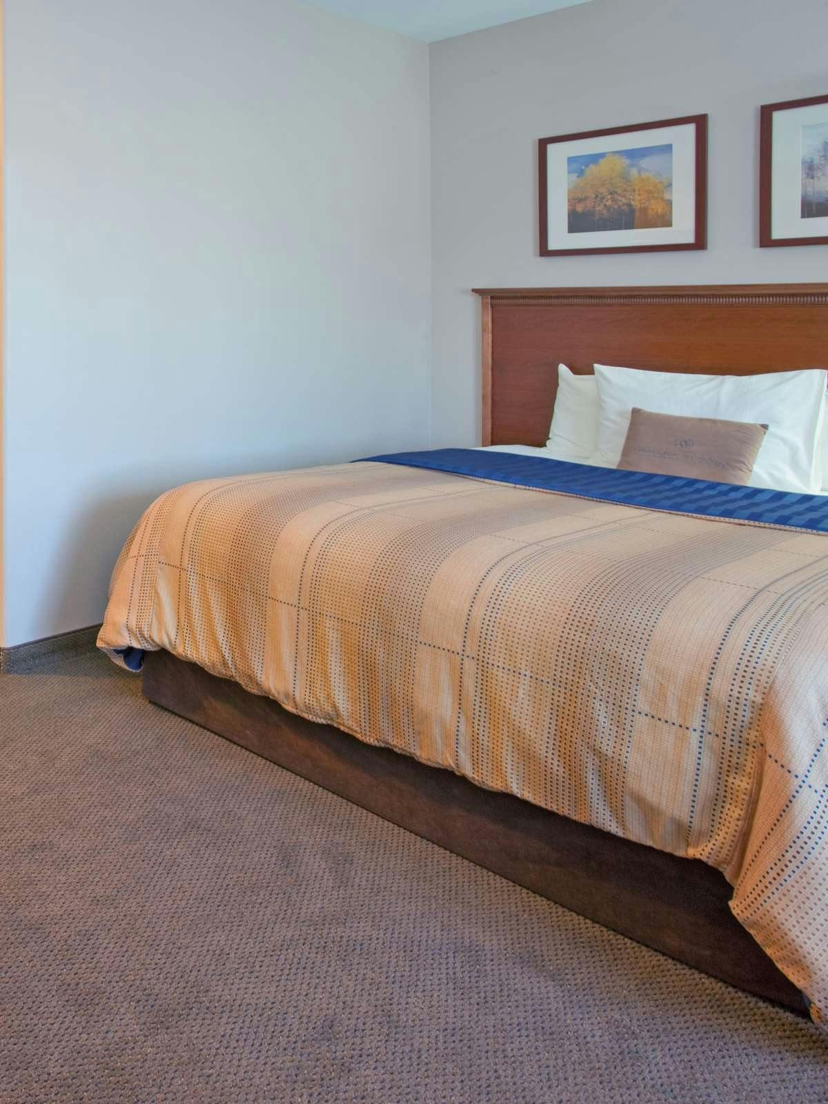 Hotel Candlewood Suites Roswell New Mexico photo 1