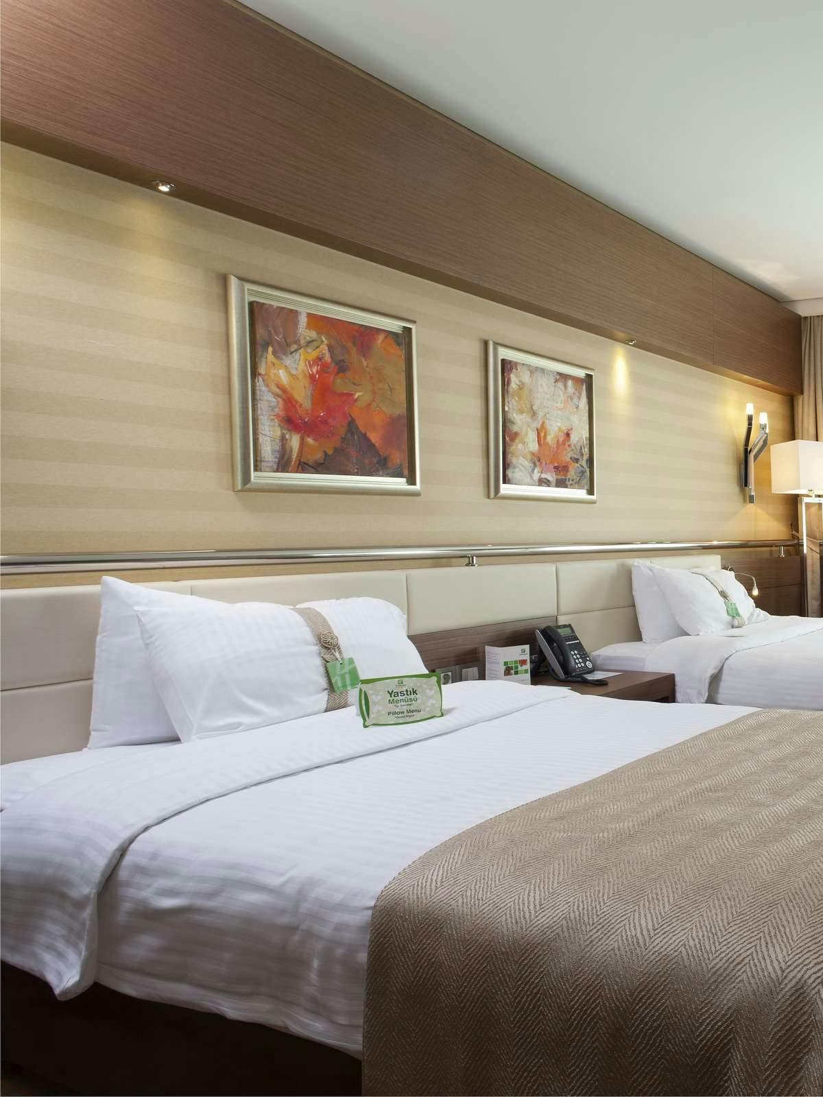 Hotel Holiday Inn Ankara - Kavaklidere photo 1