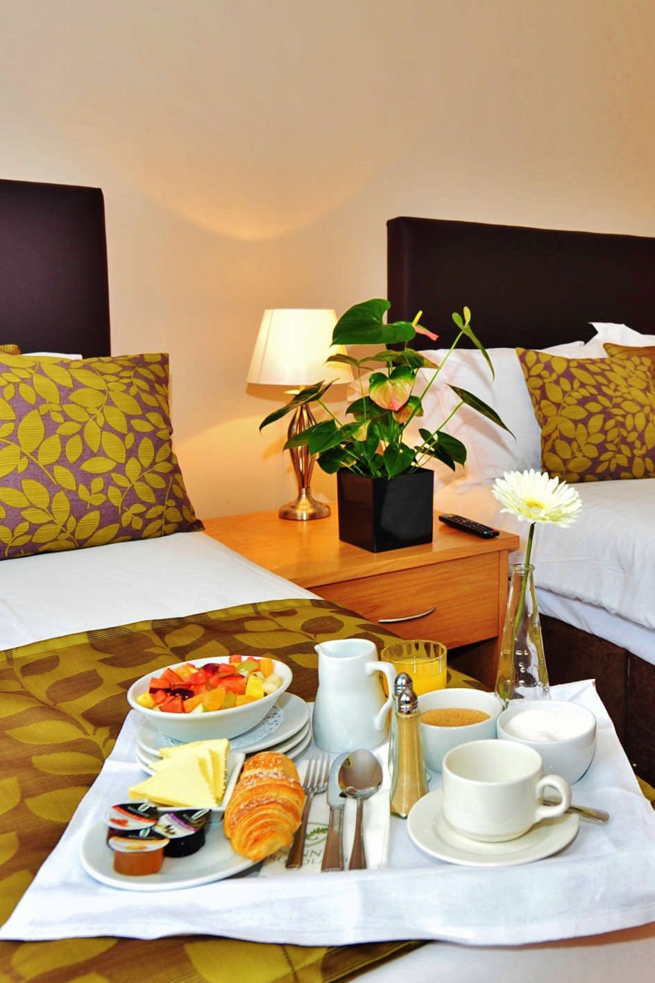 Hotel The Inn at Dromoland photo 4