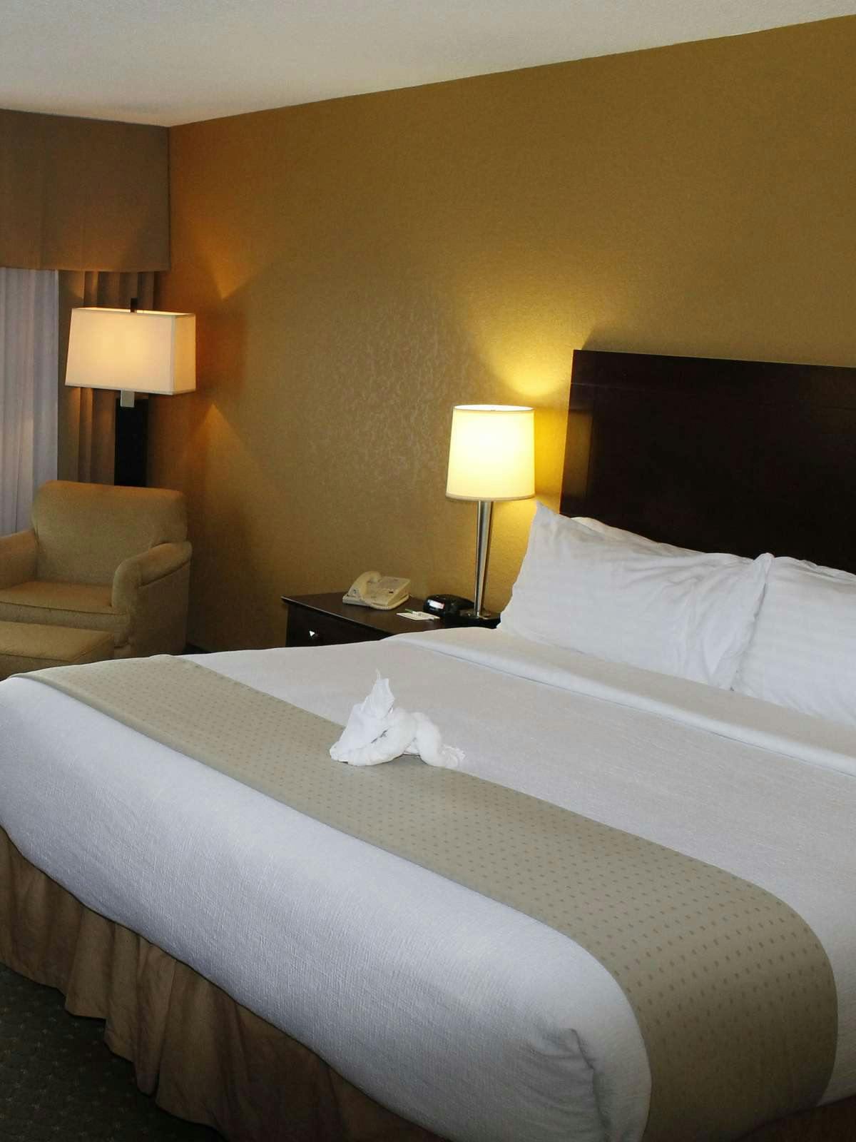 Hotel Holiday Inn Clearwater photo 1