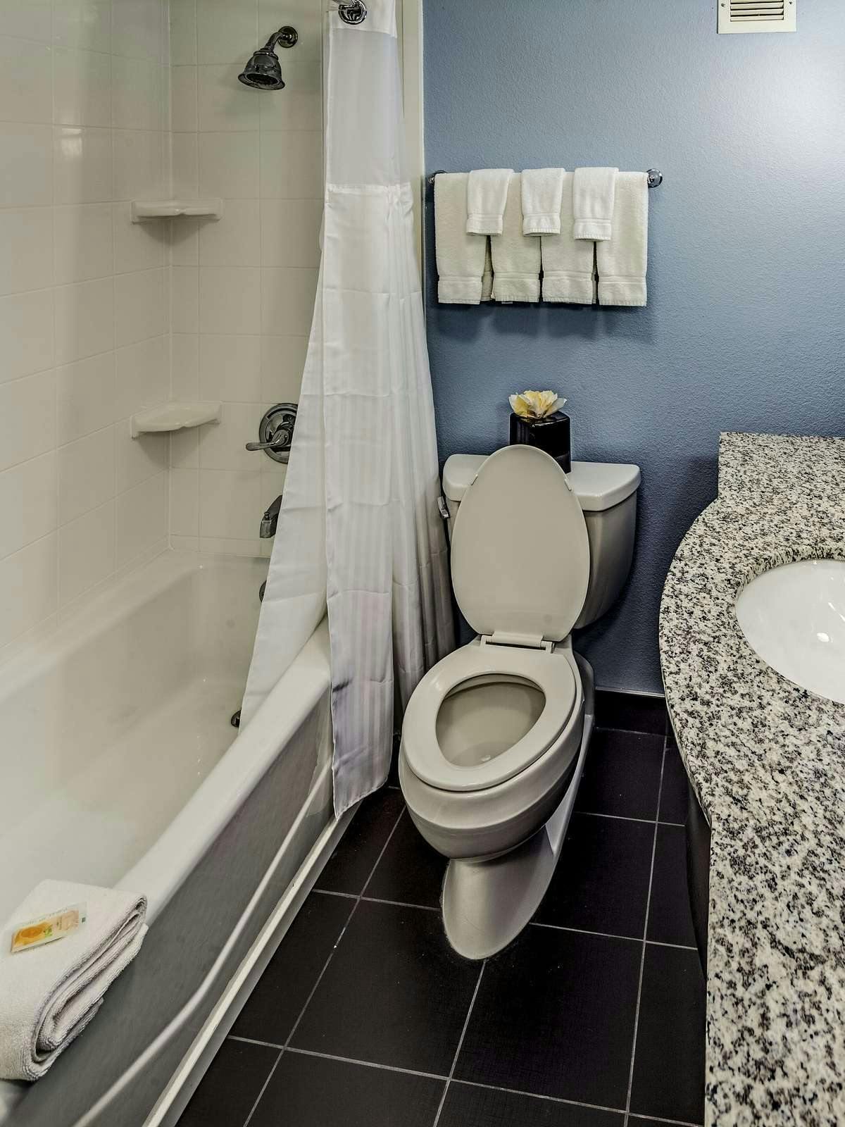 Hotel Holiday Inn Cleveland Northeast - Mentor photo 3