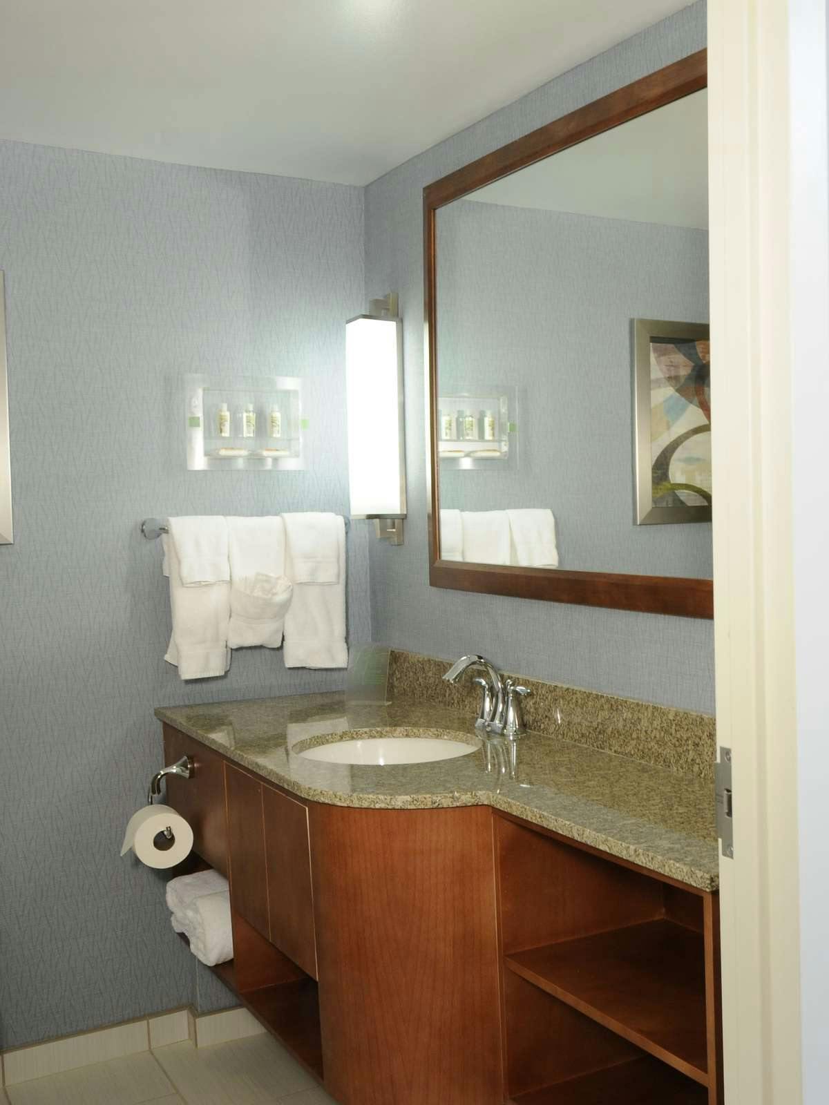 Hotel Holiday Inn Columbia East - Jessup photo 3