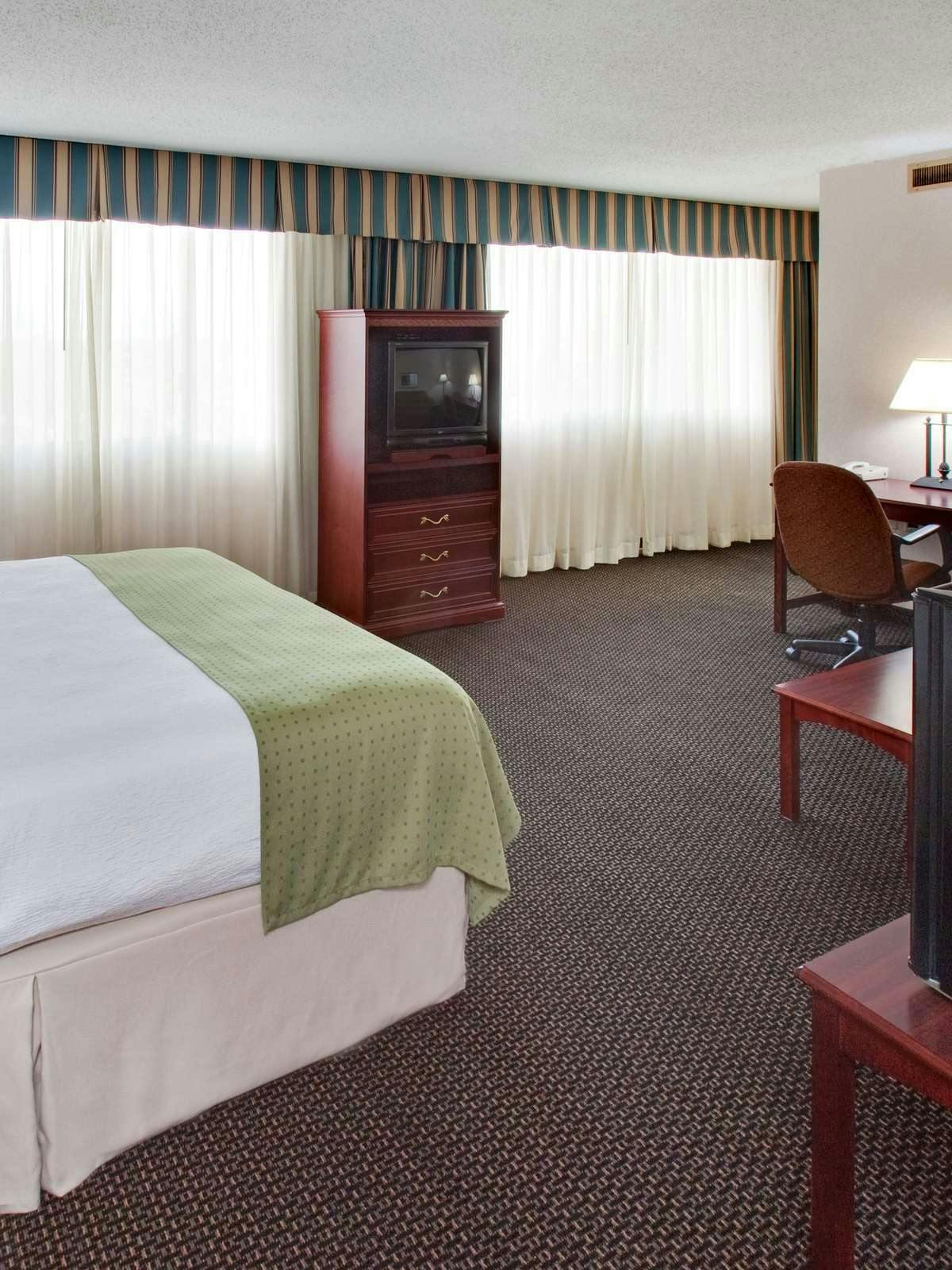 Hotel Holiday Inn Downtown Mercy photo 3