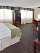 Hotel Holiday Inn Downtown Mercy photo 3