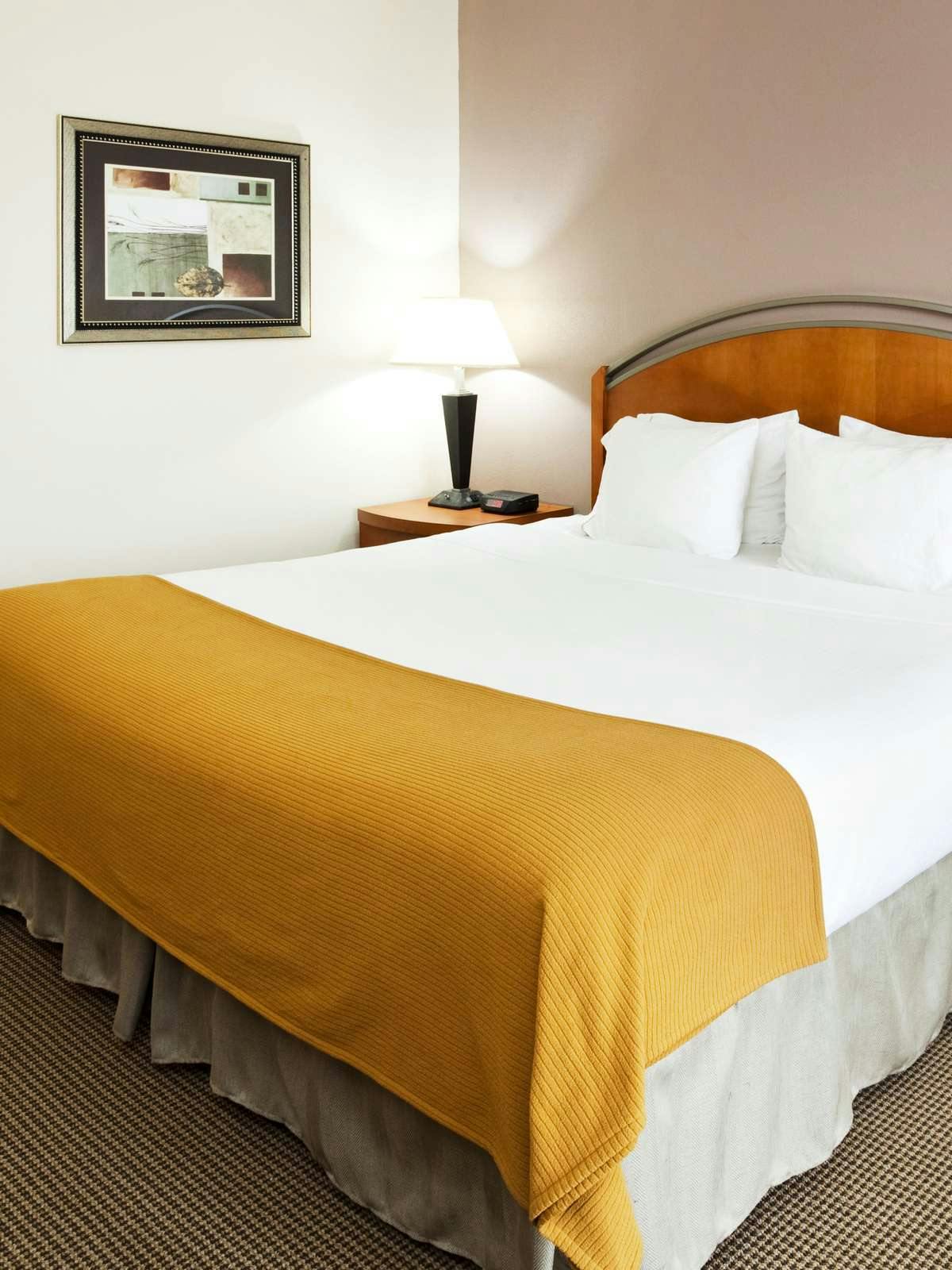 Hotel Holiday Inn Express Forest City photo 1
