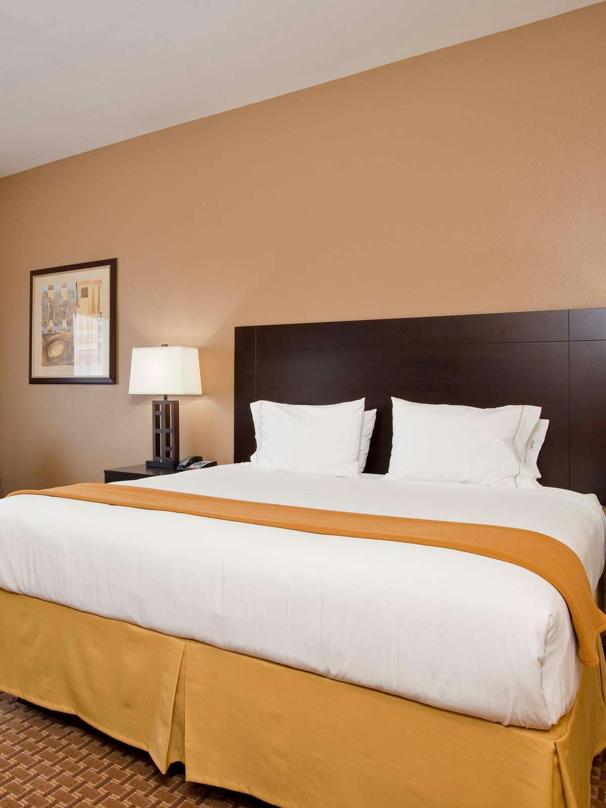 Hotel Holiday Inn Express Hotel & Suites Alvin photo 1
