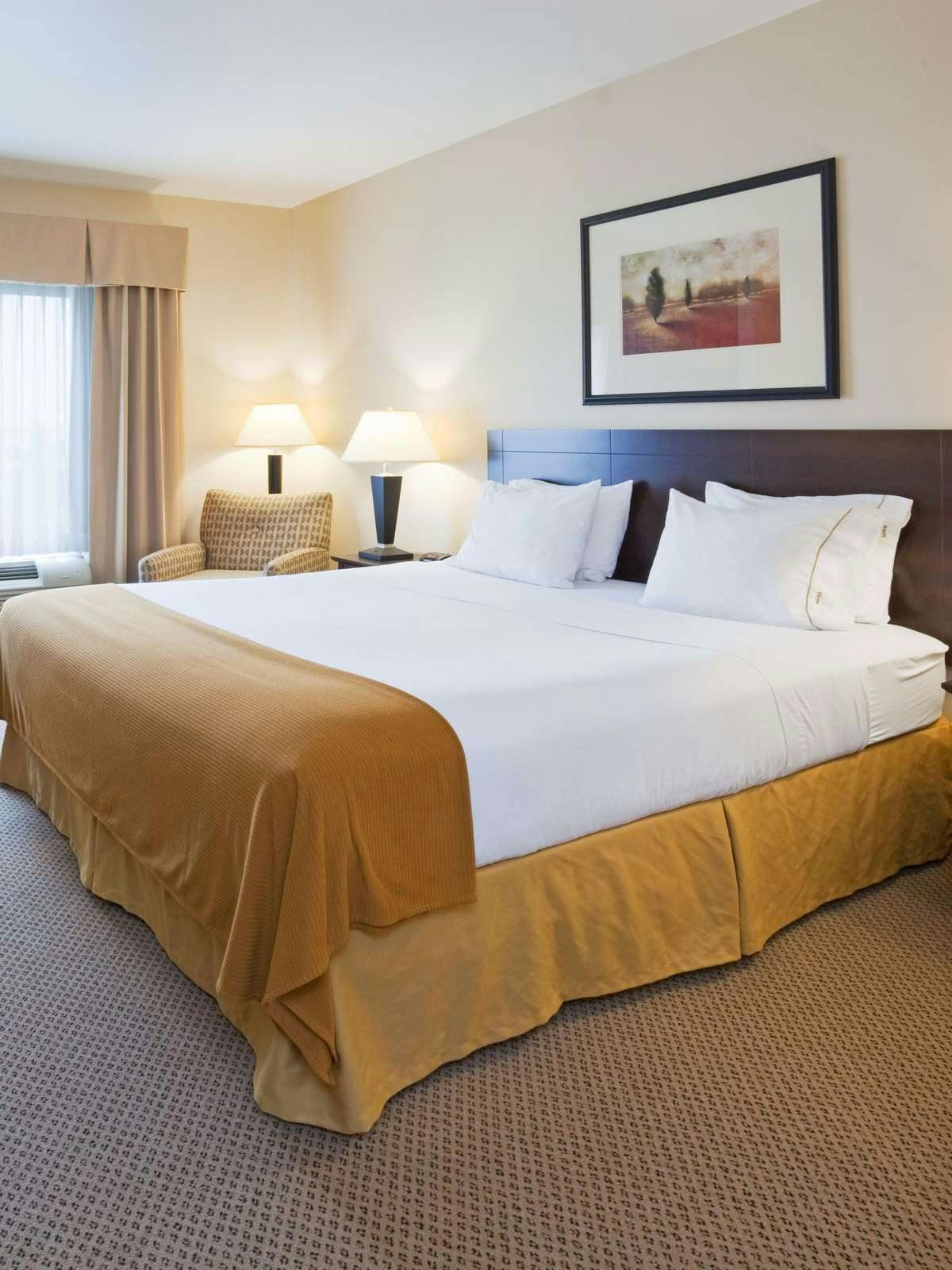 Hotel Holiday Inn Express Hotel & Suites Brandon photo 1