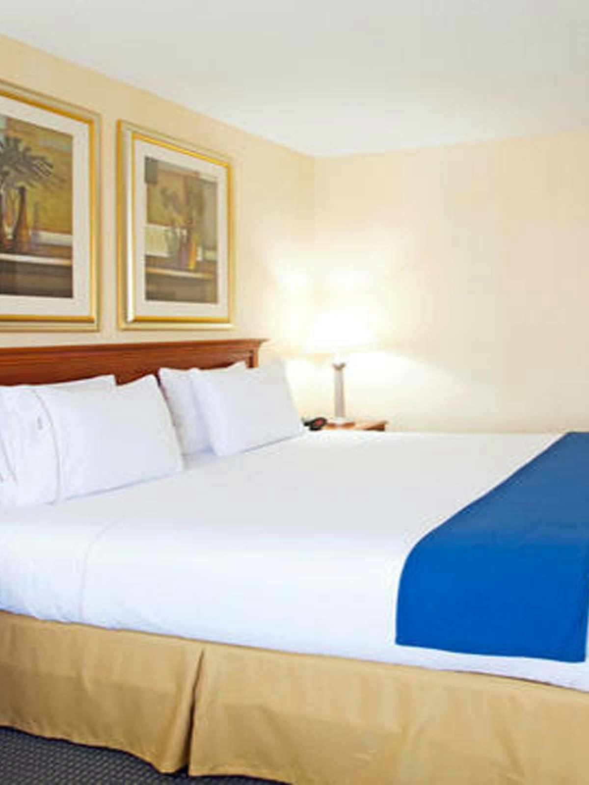 Hotel Holiday Inn Express Hotel & Suites Buffalo Airport photo 1