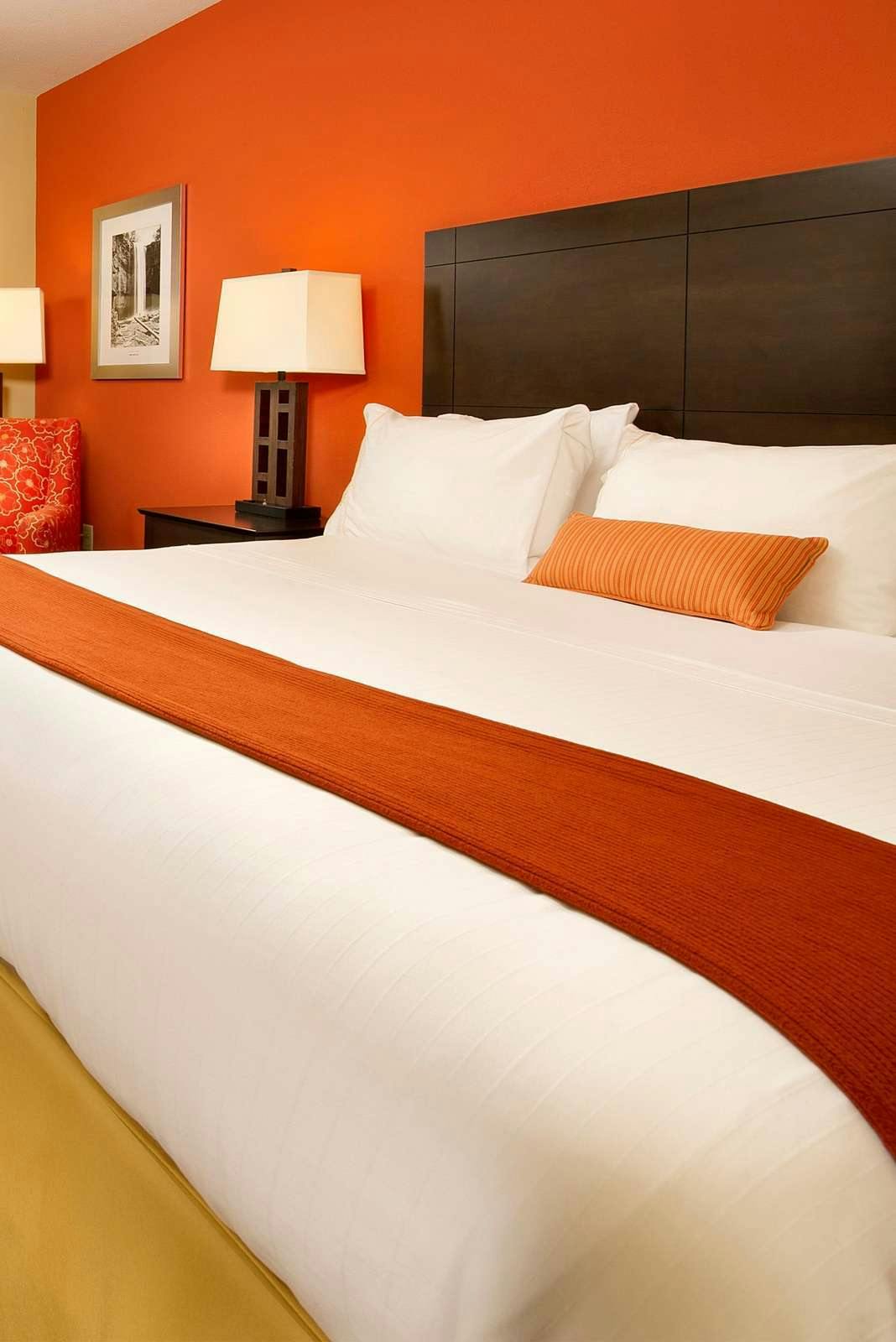 Hotel Holiday Inn Express Hotel & Suites Chattanooga Downtown photo 1