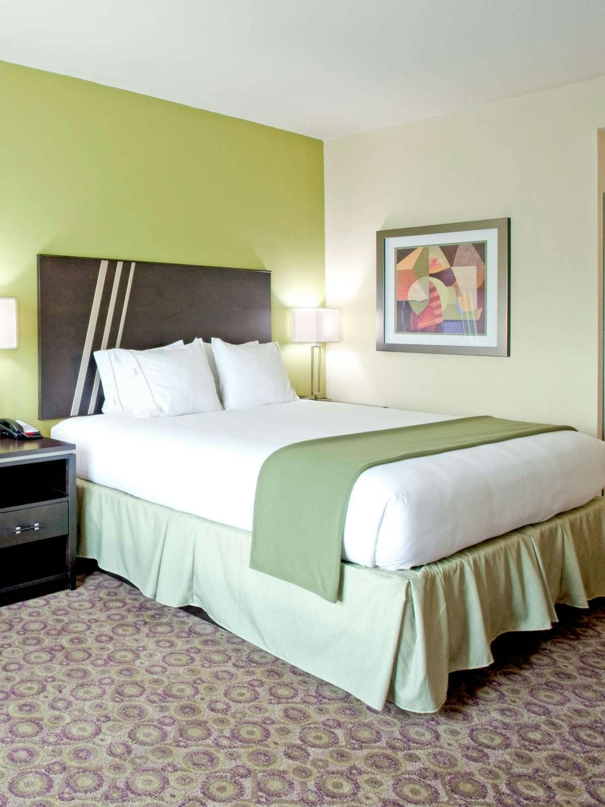 Hotel Holiday Inn Express Hotel & Suites Clemson photo 1