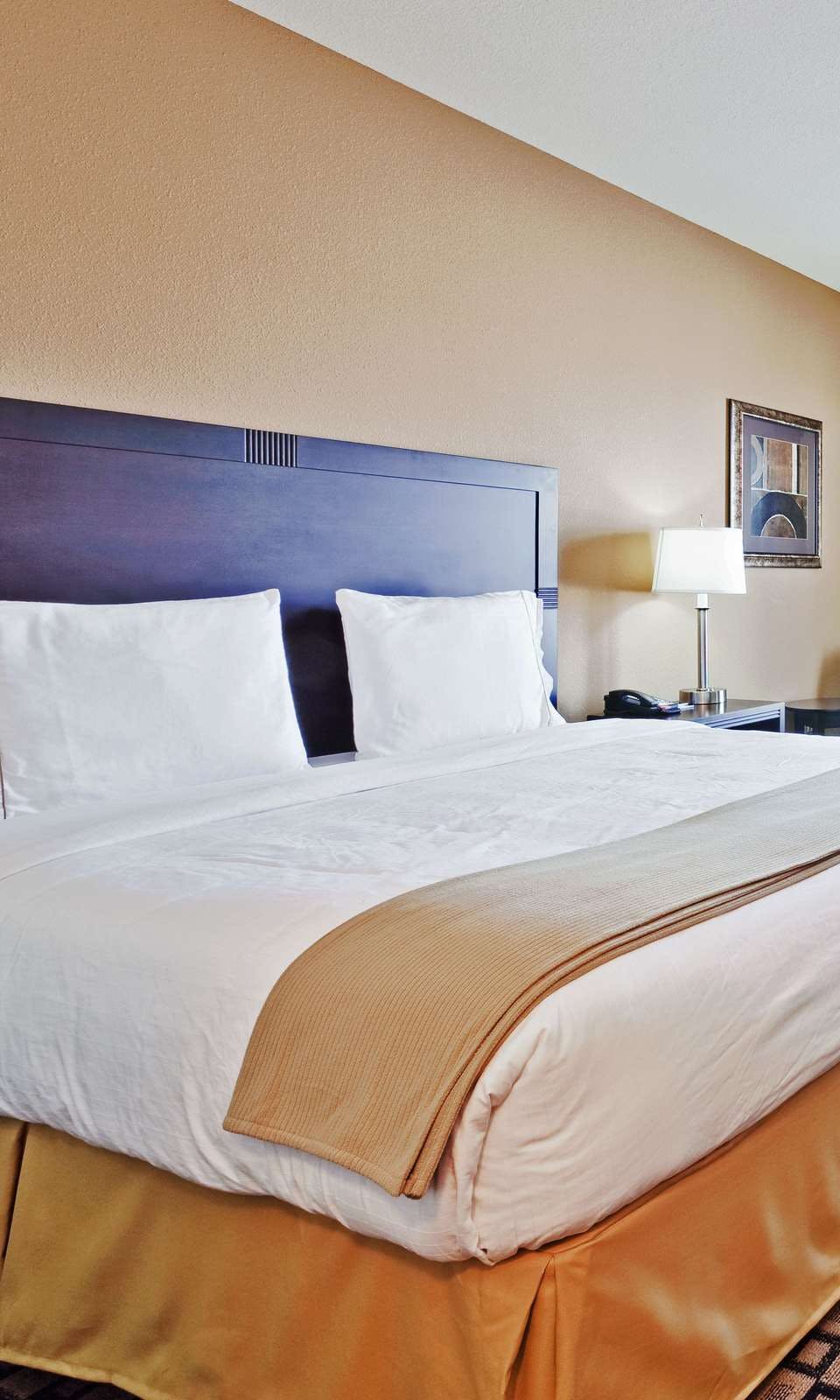 Hotel Holiday Inn Express Hotel & Suites Clovis photo 1