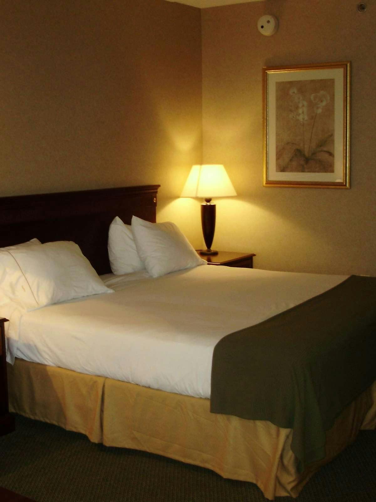 Hotel Holiday Inn Express Hotel & Suites Columbus Airport photo 1