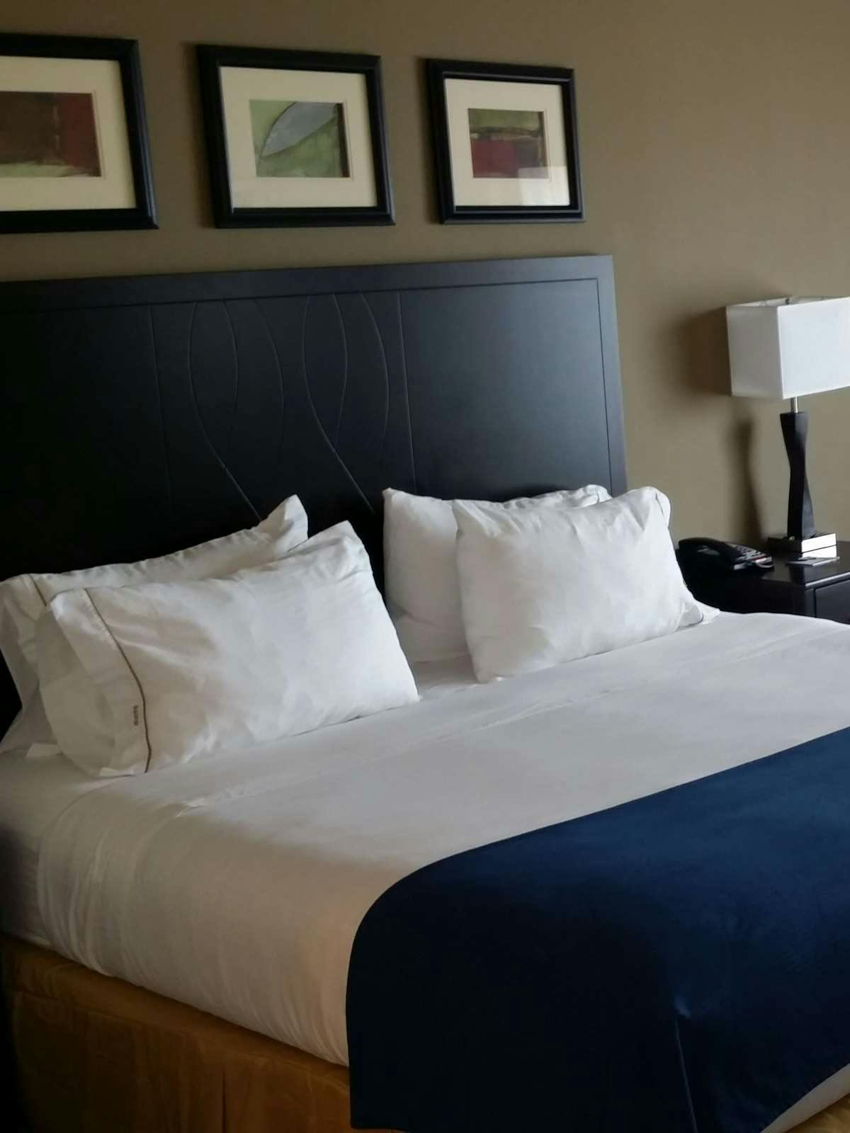 Hotel Holiday Inn Express Hotel & Suites Deming photo 1