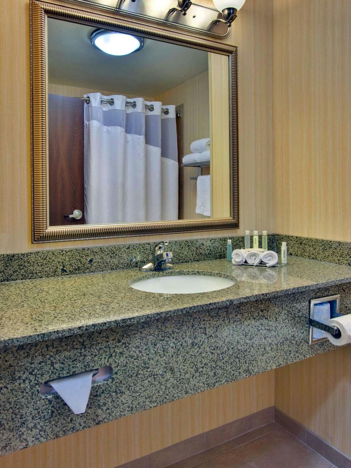 Hotel Holiday Inn Express Hotel & Suites Dewitt photo 2