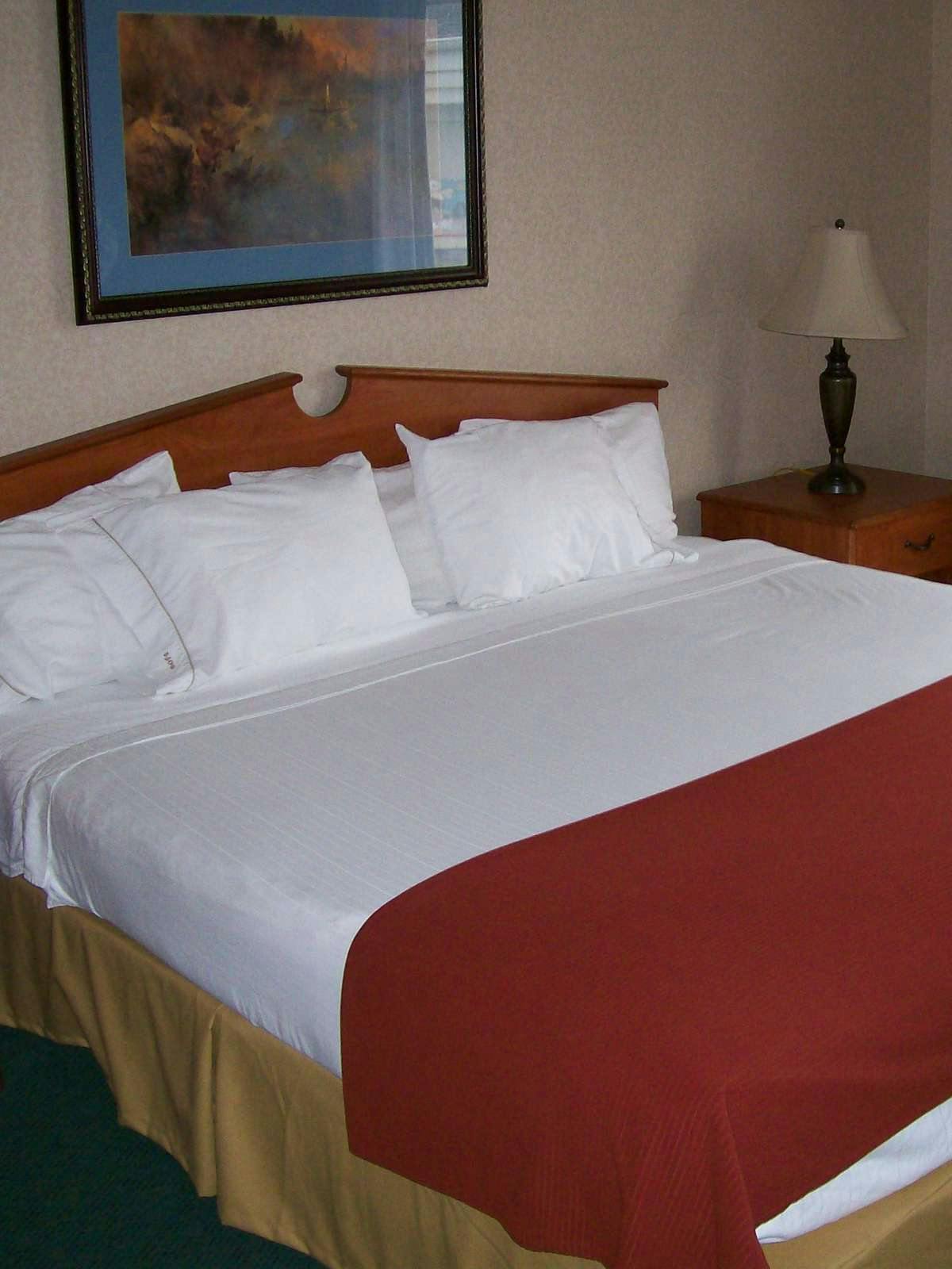 Hotel Holiday Inn Express Hotel & Suites Dickinson photo 1