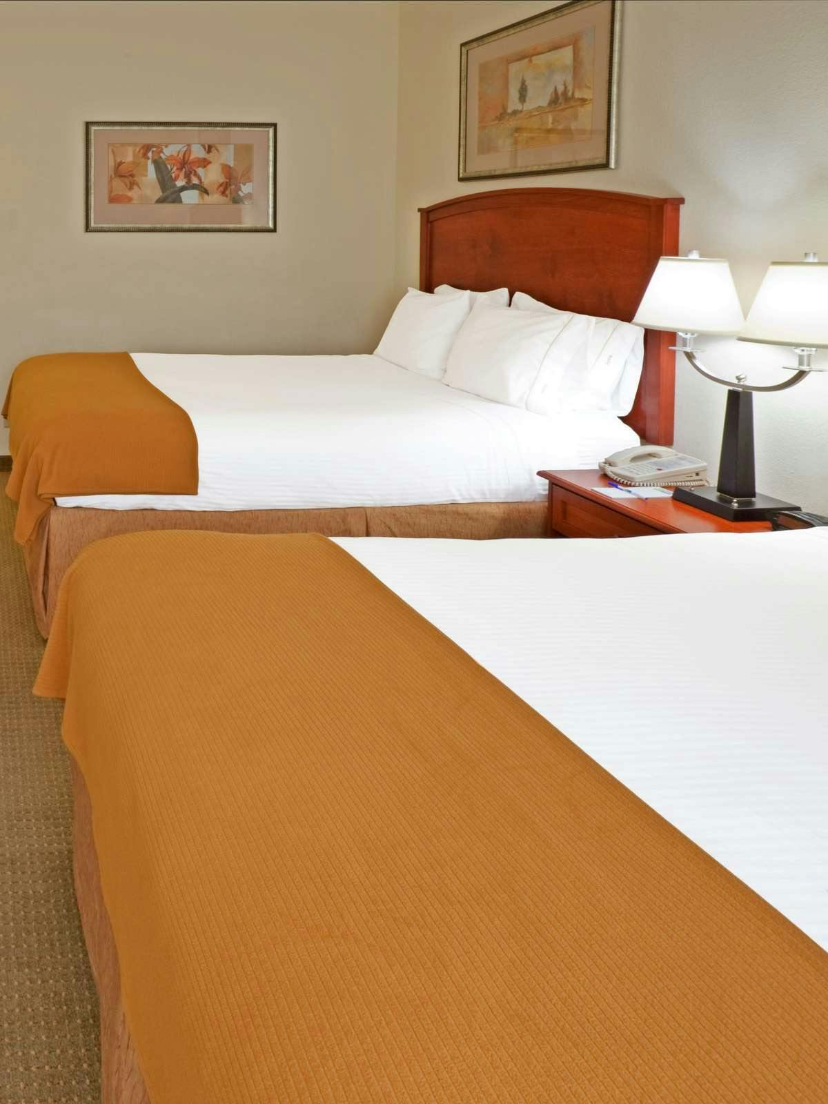 Hotel Holiday Inn Express Hotel & Suites Grand Prairie photo 1