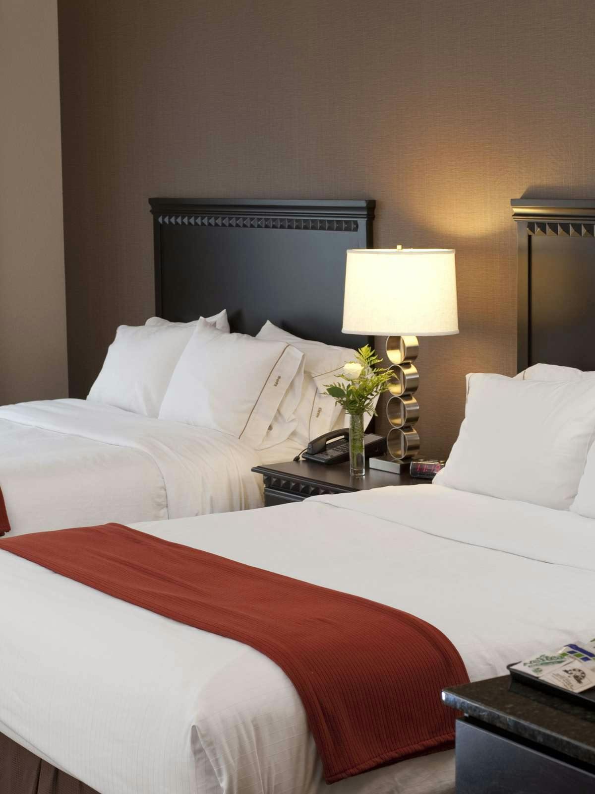 Hotel Holiday Inn Express Hotel & Suites Green Bay East photo 1