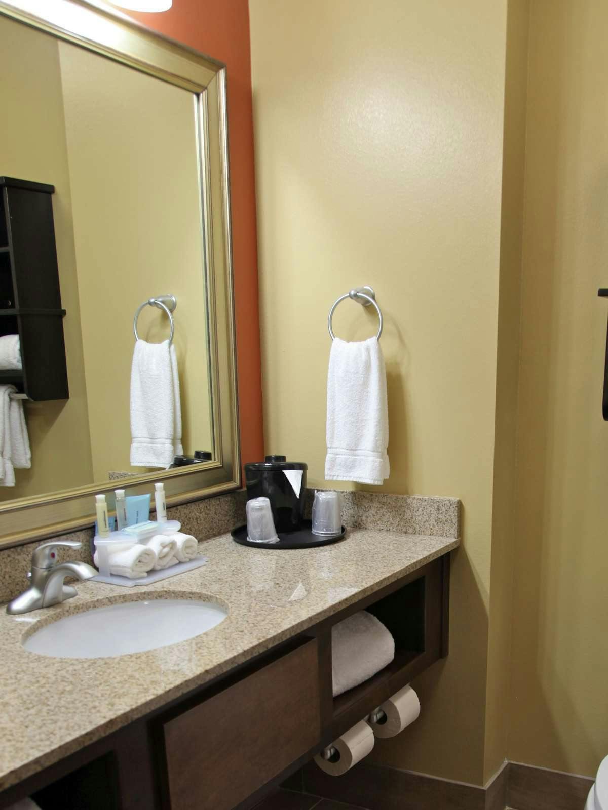 Hotel Holiday Inn Express Hotel & Suites Huntsville Airport photo 2