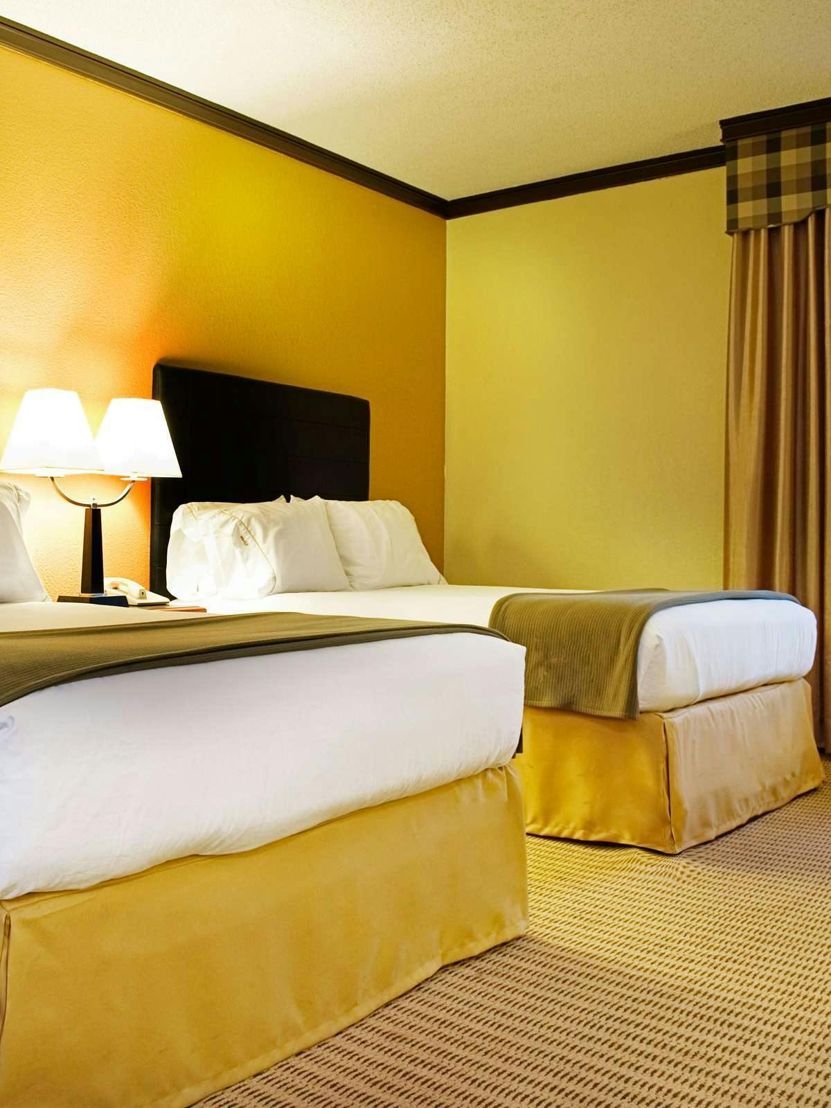 Hotel Holiday Inn Express Hotel & Suites Irving DFW Airport North photo 1