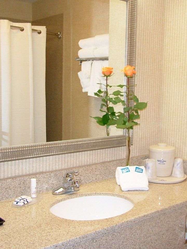 Hotel Holiday Inn Express Hotel & Suites Lafayette photo 3