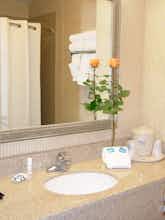 Hotel Holiday Inn Express Hotel & Suites Lafayette photo 3